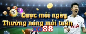 xo88